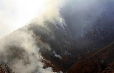 ببینید/ تصاویر هوایی از وسعت آتش‌سوزی در جنگل‌های الیت