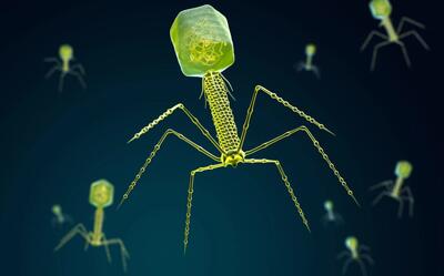  استخراج عناصر کمیاب خاک به کمک فناوری | ویروسی که معدنچی می‌شود