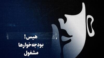 ببینید: هیس! بودجه‌خوارها مشغول جوسازی‌اند