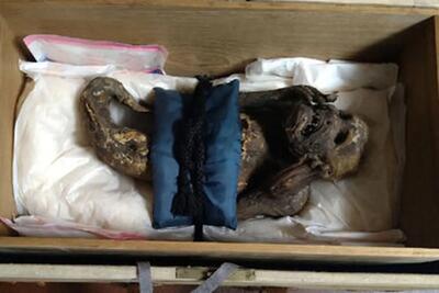  راز شگفت‌انگیز پری دریایی مومیایی شده در ژاپن!