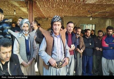  «ژوان گه‌ی ژیان» در دل کوهستان؛ احیای چشمه‌ها و پیوند نسل‌ها در سروآباد تصاویر - تسنیم