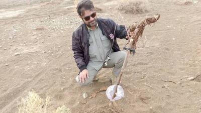  آغاز جمع‌آوری تله‌های غیرمجاز و پایش پرندگان مهاجر در سیستان و بلوچستان