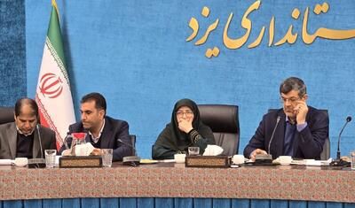  انصاری: ۴۰ معدن فعال در مناطق حفاظت‌شده یزد وجود دارد