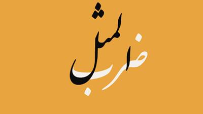  طرف خیلی خوش ازدواج است، صیغه هم می‌کند! / چند فقره ضرب‌المثل به روز شده را بخوانید
