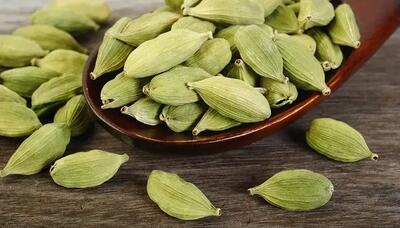  هل، سپر بلای دندان‌