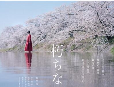  «شکوفه‌های گیلاس» در راه شبکه نمایش