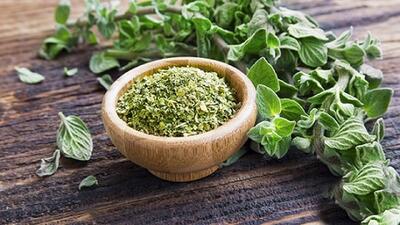  پونه: خواص درمانی، مضرات و کاربردهای این گیاه دارویی خوشبو