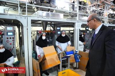  احیای کارخانه چیپس روانسر با حضور استاندار