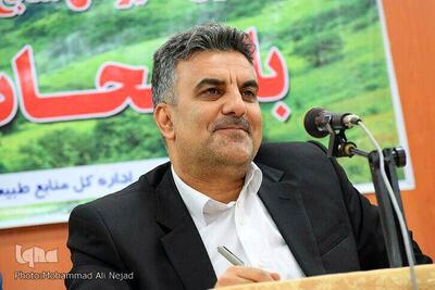  باران، جان تازه‌ای به لرستان داد  / ورود  یک میلیارد مترمکعب آب به طبیعت استان