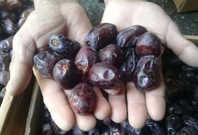  آغاز توزیع ۷۰ تن خرما در خراسان رضوی به‌مناسبت ماه رمضان ۱۴۰۴