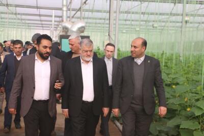  گامی مؤثر در تحقق نهضت گلخانه‌ای و امنیت غذایی