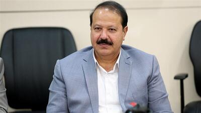  از ظرفیت‌های بالقوه تا دستاوردهای بالفعل/ لزوم حمایت تکمیلی از تولیدکنندگان پس از حذف ارز