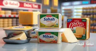  گرانی بی‌دلیل پنیر؛ کارخانجات لبنی از افزایش نرخ شیر خشک وارداتی خبر دادند | قیمت انواع پنیر در فروشگاه ۲۳ بهمن ۱۴۰۴
