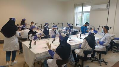  افزایش ظرفیت پزشکی، آفت نظام سلامت کشور