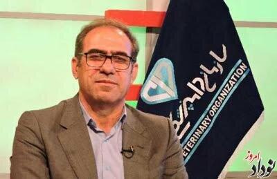  هشدار بهداشتی در ایلام/ محموله مرغ و آلایش غیرقابل مصرف از چرخه خارج شد