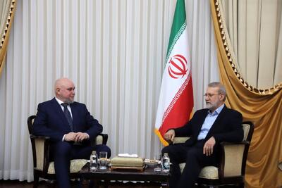  دیدار لاریجانی با وزیر انرژی روسیه/وزیر انرژی روسیه: امضای چند توافق‌نامه با ایران در دستورکار قرار دارد