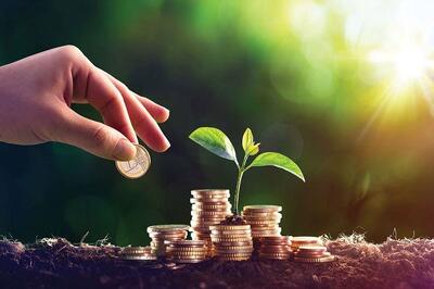  بهترین استراتژی سرمایه گذاری در شرایط پرریسک فعلی/ طلا بخریم، دلار یا صندوق درآمد ثابت؟ - سرمایه و بورس