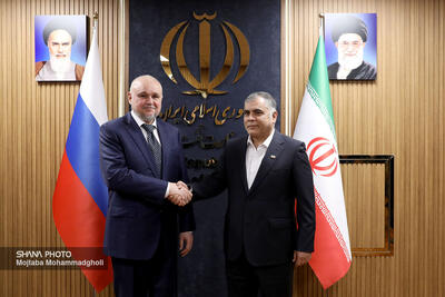  دیدار وزیر نفت ایران و وزیر انرژی روسیه