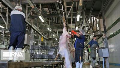  نظارت ۲ شیفته ۳۶ بازرس دامپزشکی بر بازار نوروزی خراسان شمالی