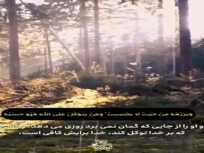  کسی که بر خدا توکل کند، خدا برایش کافی‌ست...