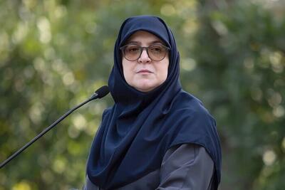  اظهارات سخنگوی دولت درباره آمادگی نیروهای دفاعی کشور و مذاکرات