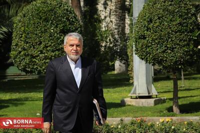  صالحی امیری: مناطق آزاد می‌توانند رقیب سفر به کشورهای همسایه باشد