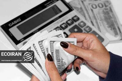  قیمت دلار امروز چهارشنبه 29بهمن/ افزایش قیمت + جدول