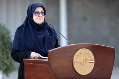  سخنگوی دولت: ارز دارو تغییر نکرده است