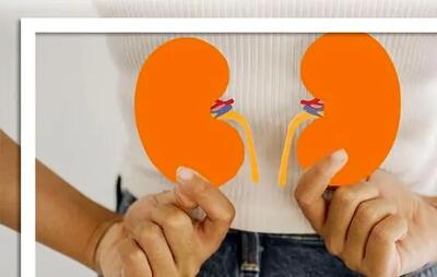  داروی دیابت روند پیری کلیه را کُند می‌کند