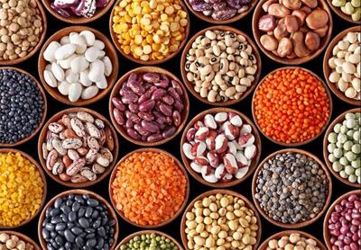  حبوبات در آستانه رمضان و نوروز گران‌تر می‌شود؟