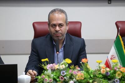  رستمی: ۲۵۳۴ داوطلب شوراهای روستایی خراسان شمالی ثبت‌نام کردند