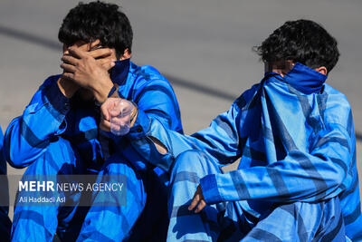  سارقان حرفه‌ای سیم برق در گناوه دستگیر شدند