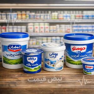  جهش قیمت؛ ماست چرا گران شد؟ صنایع لبنی هزینه‌های انرژی را بالا برده‌اند؟ | قیمت ماست امروز چهارشنبه ۲۹ بهمن ۱۴۰۴