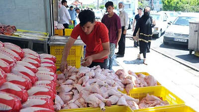  قیمت مرغ گرم و منجمد اعلام شد / سیگنال افزایش دوباره قیمت در بازار