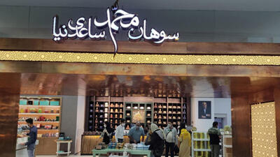  توضیحات سخنگوی قوه قضائیه در خصوص پرونده ساعدی نیا / صرف عذرخواهی پرونده مختومه نمی شود