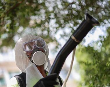  یک مطالعه: بحران آب و هوایی و پشه‌های مهاجم باعث شیوع «چیکونگونیا» در اروپا می‌شوند