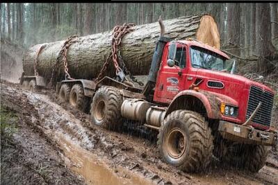  جا به جایی جانکاه؛ راننده با سیم بکسل وصل بود به این دنیا اونم که ...