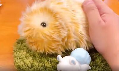  موفلین ؛ ابتکار جالب شرکت ژاپنی کاسیو برای کودکان بستری در بخش ایزوله