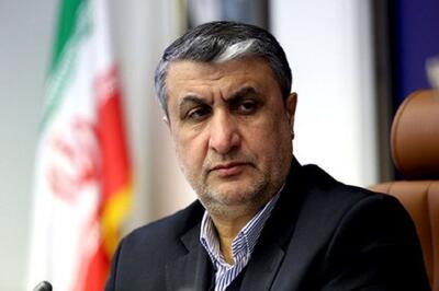  اسلامی: ایران همه زنجیره هسته ای را درون‌زا خلق کرده است/ایران صاحب یک صنعت هسته‌ای کارآمد، بومی و قابل اتکاست