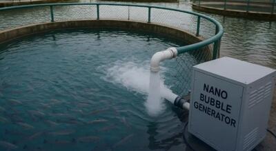  فناوری نانوحباب در آبزی‌پروری؛ کلید خودکفایی پروتئین و امنیت غذایی ایران