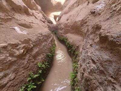  جنگ زنانه در کویر  | زنان کارآفرین روستای سعادت‌ آباد در مسیر احیای قنات قدم گذاشته‌ اند + فیلم