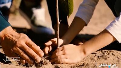  نهال امروز، درختان فردا + فیلم