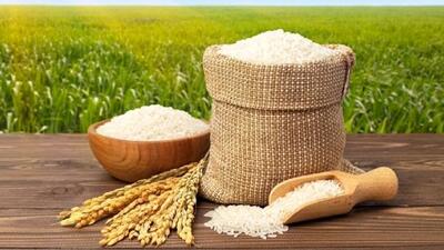  جولان برنج در بازار معیشتی مردم ؛ برنج طارم در صدر گرانی‌ها !