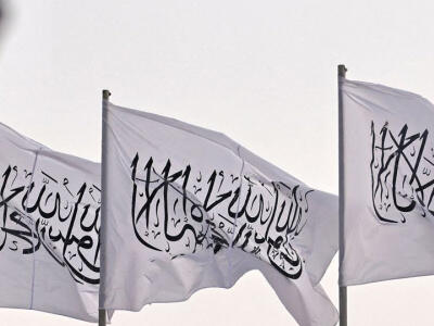  نو‌نازیسم آسیایی - دیپلماسی ایرانی