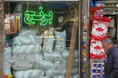  انفجار قیمت برنج ایرانی و خارجی؛ طارم کیلویی ۵۵۰ هزار تومان شد