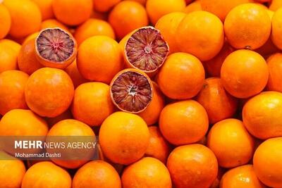  ۲۶۰۰ هکتار از باغات نکا شناسنامه‌دار شد