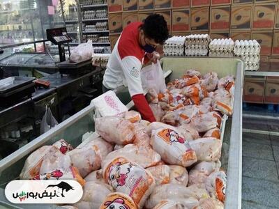  قیمت جدید مرغ و تخم مرغ یکشنبه ۱۴۰۴/۱۲/۰۳