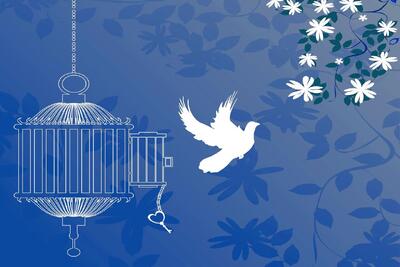  کمک یک میلیارد تومانی خیر زنجانی برای آزادی زندانیان