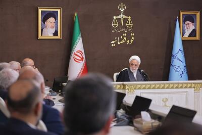  محسنی اژه ای: مراجع قضایی محاسبه خسارت تأخیر تأدیه را شاخص سالانه معیار و مبنا قرار دهند