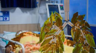  تقدیر از عضو مرکز توحید با عکسی تأثیرگذار در مسابقه جهانی عکاسی جوانان